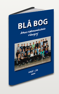 blaa_bog_eks_3